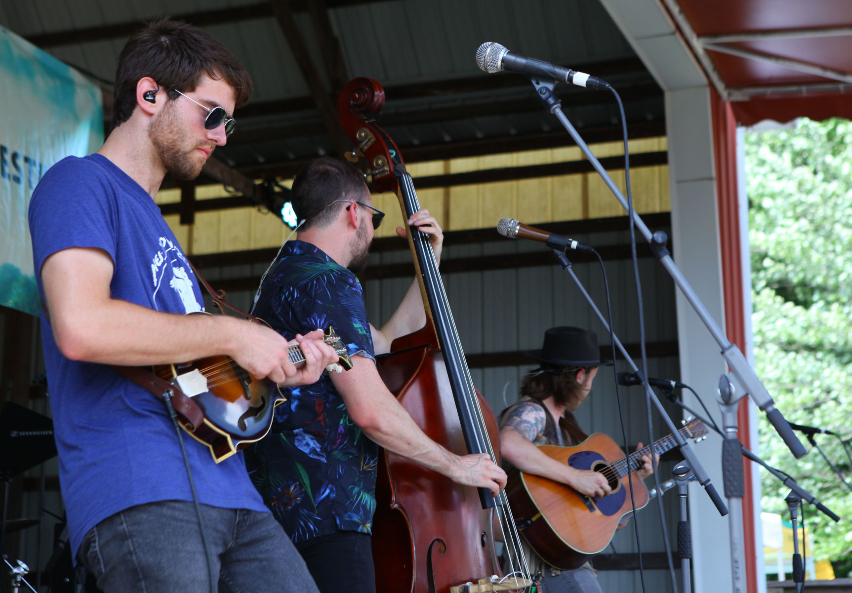 Lightning Bug Music Festival